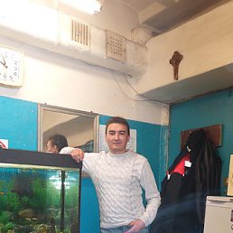 ��������, ������, 48 ���