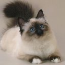 ���� �������, �����-��������� - ��������� 11 ������� 2013 � ������ ���� ����������