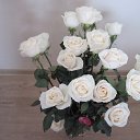 ���� ������, �����������, 73 ���� - ��������� 10 ����� 2014 � ������ ���� ����������