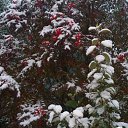 ���� ���������, ������, 59 ��� - ��������� 18 ����� 2014 � ������ ���� ����������