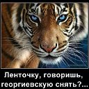  ,  -  11  2014    