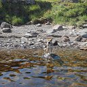 ����� �������........... �� ������� �����. ����...�