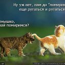 ���� �����, ��������� - ��������� 3 ���� 2014