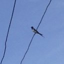 ���� ����, ������, 51 ��� - ��������� 9 ���� 2014 � ������ �������