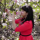 ���� �������, ����, 37 ��� - ��������� 29 ������ 2014 � ������ ���� ����������