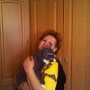 ���� �������, ���������, 65 ��� - ��������� 29 ��� 2014 � ������ ���� ����������