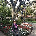 ���� ����, ����������, 73 ���� - ��������� 19 ����� 2014 � ������ ������ ��������