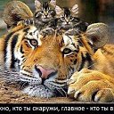 ���� �����, ������ - ��������� 13 ��� 2014 � ������ ������ ��������