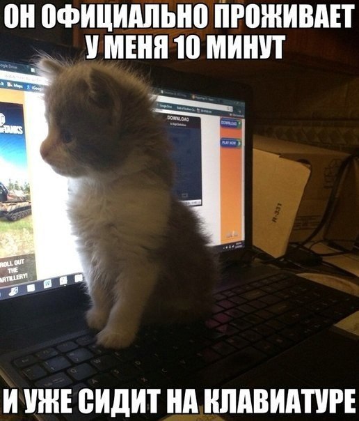    :D - 10  2014  08:13
