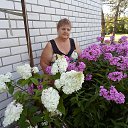 ���� Natalia, �����, 72 ���� - ��������� 16 ������� 2014 � ������ ���� ����