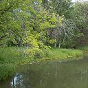 ���� Olga, ����������� - ��������� 11 ������� 2014 � ������ ���� ����������