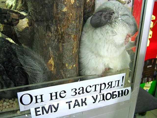 Tolikrostov - 11 ���� 2014 � 00:52