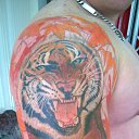 ���� ������� �������, ���������, 43 ���� - ��������� 15 ���� 2014