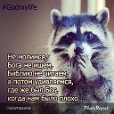 ���� ��������, �������� - ��������� 25 ��� 2014 � ������ ������ ��������