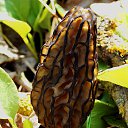 ���� �����, �����, 64 ���� - ��������� 4 ��� 2014 � ������ ������ � �����!�