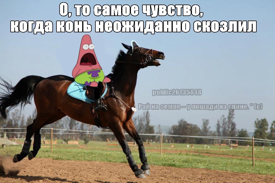 &bull;�����&bull; - 13 ���� 2014 � 00:13