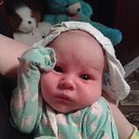 ���� �������, ����-���, 42 ���� - ��������� 26 ����� 2014 � ������ �������