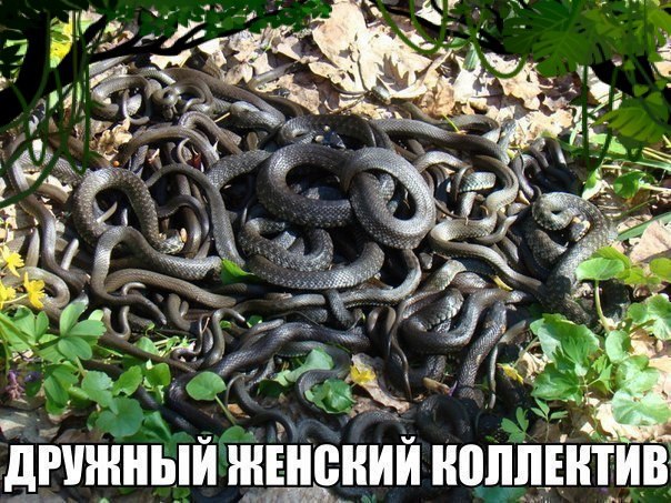   | , ,  - 7  2014  13:38