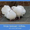 ���� ������, ��������� - ��������� 20 ��� 2014 � ������ ������ ��������