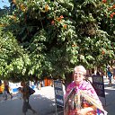  Anna, , 63  -  8  2014    2013