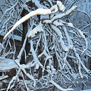 ���� Xacco, ������, 54 ���� - ��������� 11 ������� 2014 � ������ �����