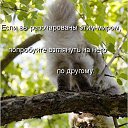 ���� ����� �����, ����, 50 ��� - ��������� 25 ������ 2014 � ������ �������� ������