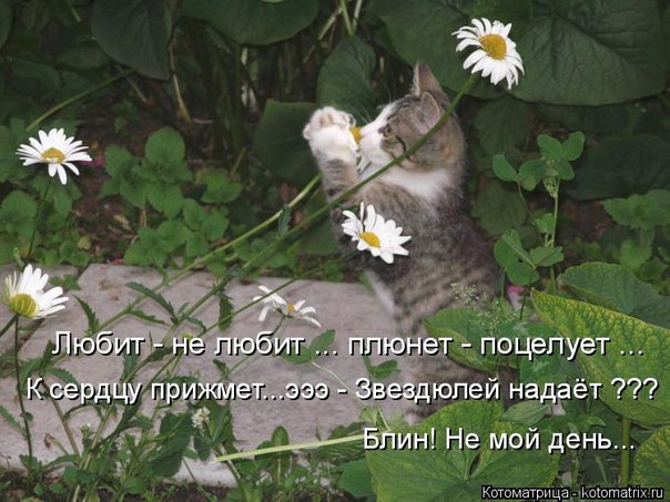  - 4  2014  16:33