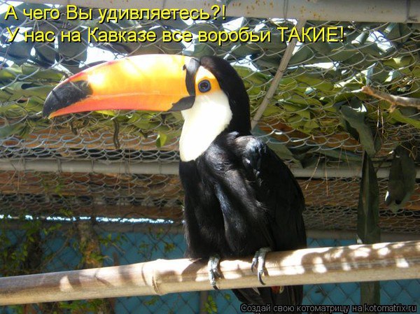 ...))))