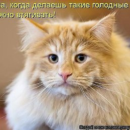 ���� ����, ������-��-����, 51 ��� - ��������� 21 ����� 2014