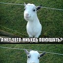 ���� ������, �����, 33 ���� - ��������� 22 ������ 2014 � ������ ������ ��������