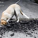 ���� ������, ������, 49 ��� - ��������� 1 ������� 2014 � ������ ��� �� ������� �����