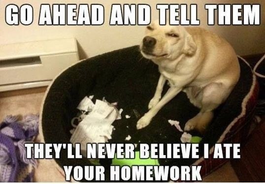 А теперь пойди и скажи им это. Они все равно никогда не поверят тебе, что это я съел твою домашку.