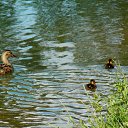 3.07.2014 �� ������� ������� ��������)))�