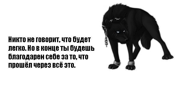 Песня я поставил тебя на колени. Бог ставит на колени только сильных. Поставь меня на колени. Жизнь ставит на колени сильных чтобы.