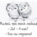 ���� �������������, ������, 50 ��� - ��������� 8 ���� 2014 � ������ ������ ��������