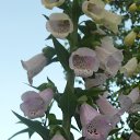  ++, , 55  -  10  2014     