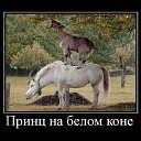 ���� ����, ������ - ��������� 2 ���� 2014 � ������ ������ ��������