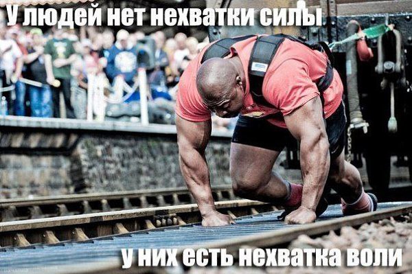  , ,   ! - 15  2014  16:06