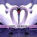 ���� La Gatita, ������, 64 ���� - ��������� 19 ������ 2014 � ������ ������ ��������