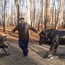 ���� ���������, ���������, 72 ���� - ��������� 9 ������� 2014 � ������ ���� ����������