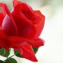 ���� �������, �������� - ��������� 14 ���� 2014 � ������ ������ ��������