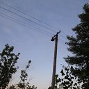 ���� �������, ��������, 39 ��� - ��������� 13 ���� 2014 � ������ ���� ����������