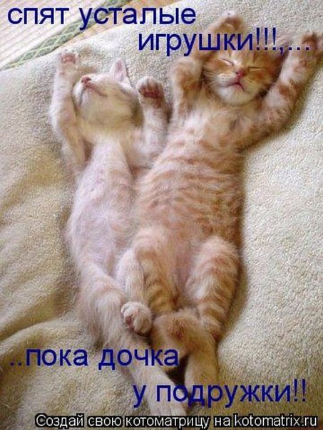    .     .       , ... - 4