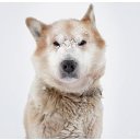  (   !!!!!!),  -  14  2014    