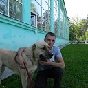 ���� ������, ������� - ��������� 18 ��� 2014 � ������ ������ ��������