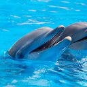 ���� Natsu, ������ - ��������� 12 ������ 2014 � ������ ������ ��������