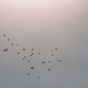 ���� Viktoriya, ���� - ��������� 8 ������ 2014 � ������ ������ ��������