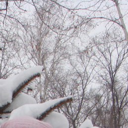 ����, ���������, 53 ����