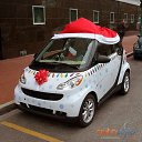 ���� ������, ������������, 36 ��� - ��������� 29 ��� 2014 � ������ ������ �������� ���λ