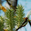 ���� �����, �����, 64 ���� - ��������� 24 ������ 2014 � ������ ������ � �����!�